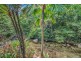 426 Biggs Road, Bartle Frere QLD 4861