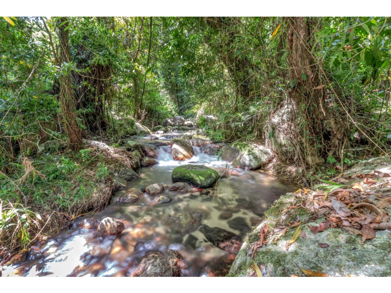 426 Biggs Road, Bartle Frere QLD 4861
