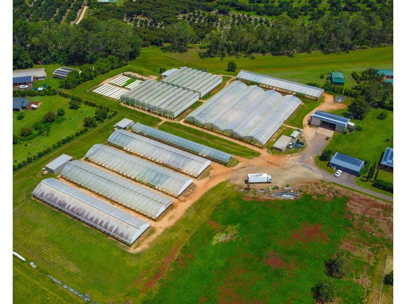 7335 Kennedy Highway & L10 Arbouin Road, Tolga QLD 4882