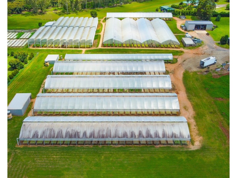 7335 Kennedy Highway & L10 Arbouin Road, Tolga QLD 4882