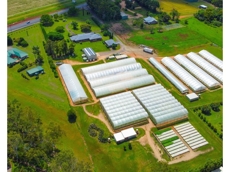 7335 Kennedy Highway & L10 Arbouin Road, Tolga QLD 4882