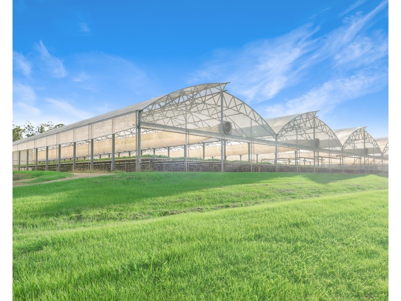 7335 Kennedy Highway & L10 Arbouin Road, Tolga QLD 4882