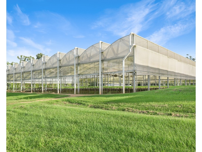 7335 Kennedy Highway & L10 Arbouin Road, Tolga QLD 4882