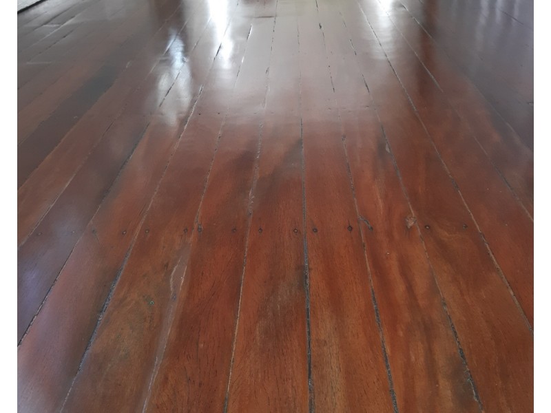 3 Terminus Street, Parramatta Park QLD 4870