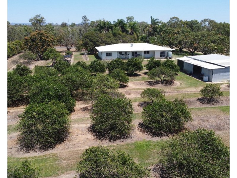 399 Malone Road, Mareeba QLD 4880
