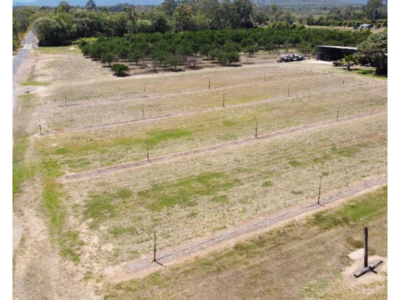399 Malone Road, Mareeba QLD 4880