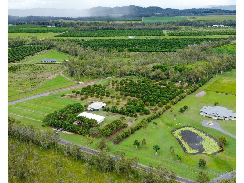 399 Malone Road, Mareeba QLD 4880