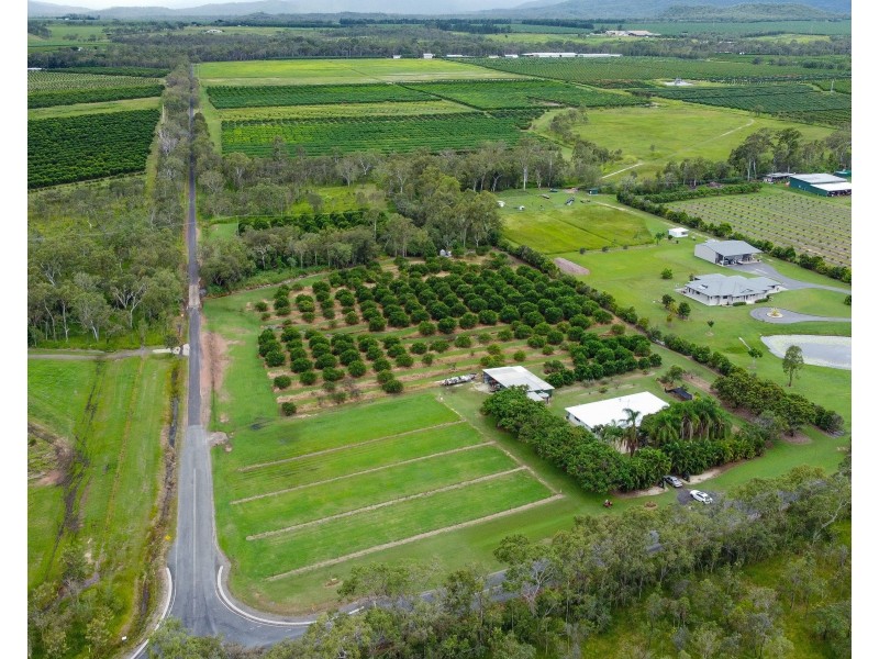 399 Malone Road, Mareeba QLD 4880