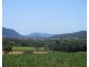 321 Maitland Road, Mount Peter QLD 4869