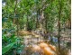 64 Howard Street, Cooktown QLD 4895