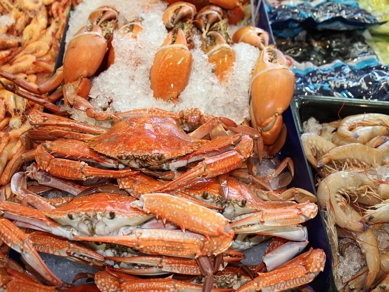 99 Draper Street, Cairns QLD 4870