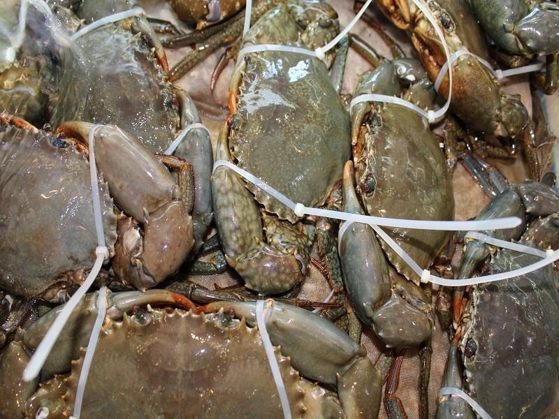 99 Draper Street, Cairns QLD 4870