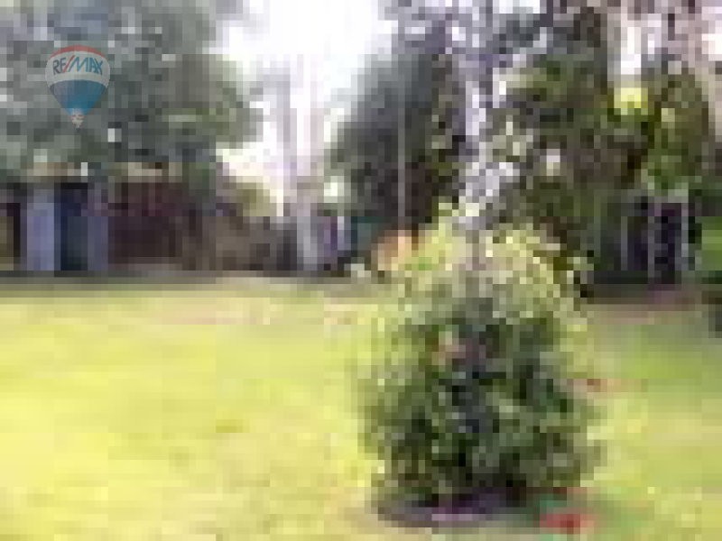 206 McCoombe Street, Bungalow QLD 4870