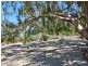 Lot 181 Pine Creek Road, East Trinity QLD 4871