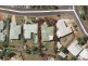 3 Caesar Street, Bentley Park QLD 4869