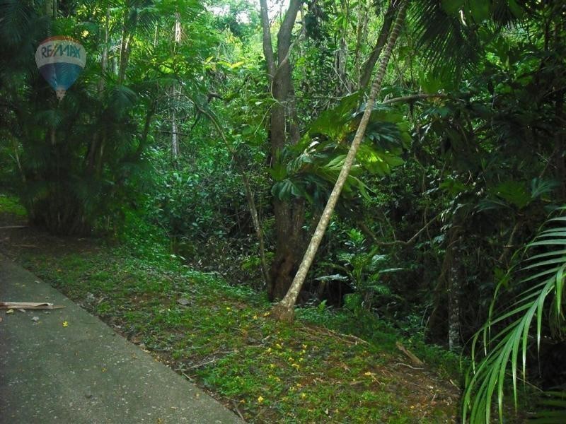 88 Cassowary Street, Freshwater QLD 4870