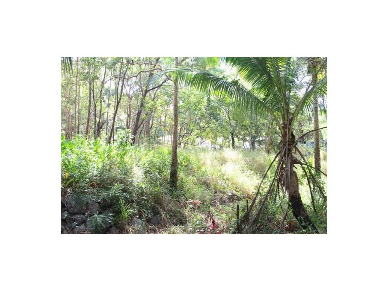 1 Curlew Street, East Trinity QLD 4871