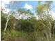 3 Seclusion Drive, Palm Cove QLD 4879