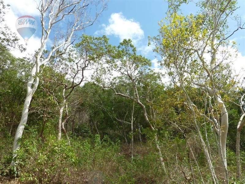 3 Seclusion Drive, Palm Cove QLD 4879