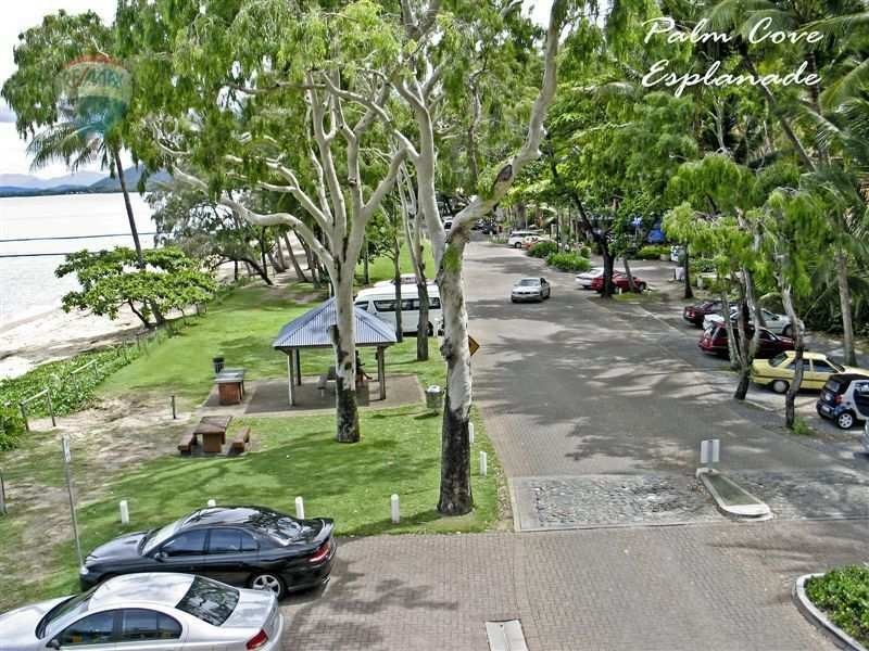 3 Seclusion Drive, Palm Cove QLD 4879