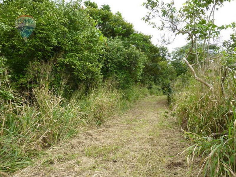 Lot 59 Nelson Road, Babinda QLD 4861