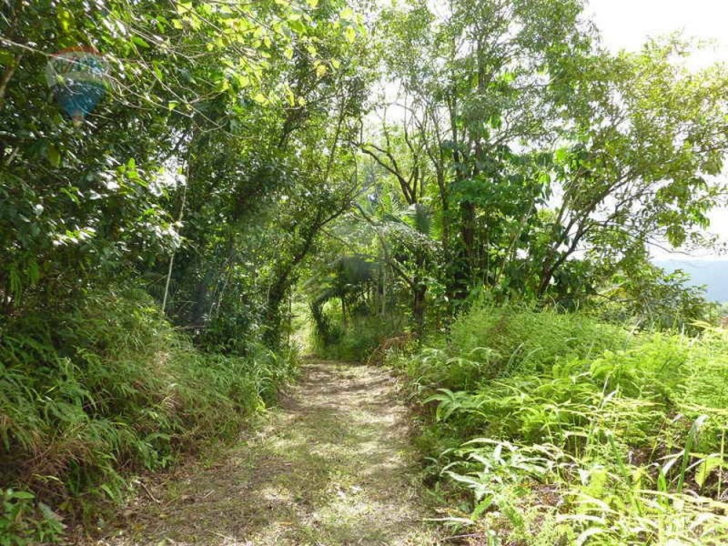 Lot 59 Nelson Road, Babinda QLD 4861