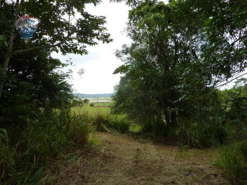 Lot 59 Nelson Road, Babinda QLD 4861