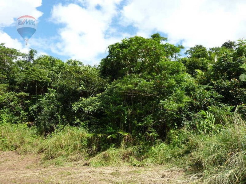 Lot 59 Nelson Road, Babinda QLD 4861