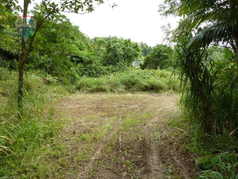 Lot 59 Nelson Road, Babinda QLD 4861