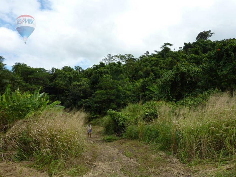 Lot 59 Nelson Road, Babinda QLD 4861