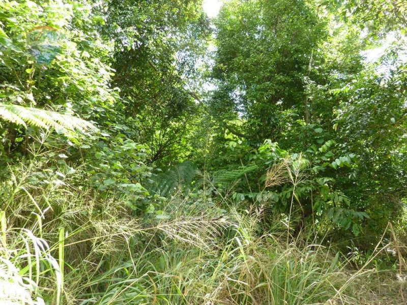 Lot 59 Nelson Road, Babinda QLD 4861