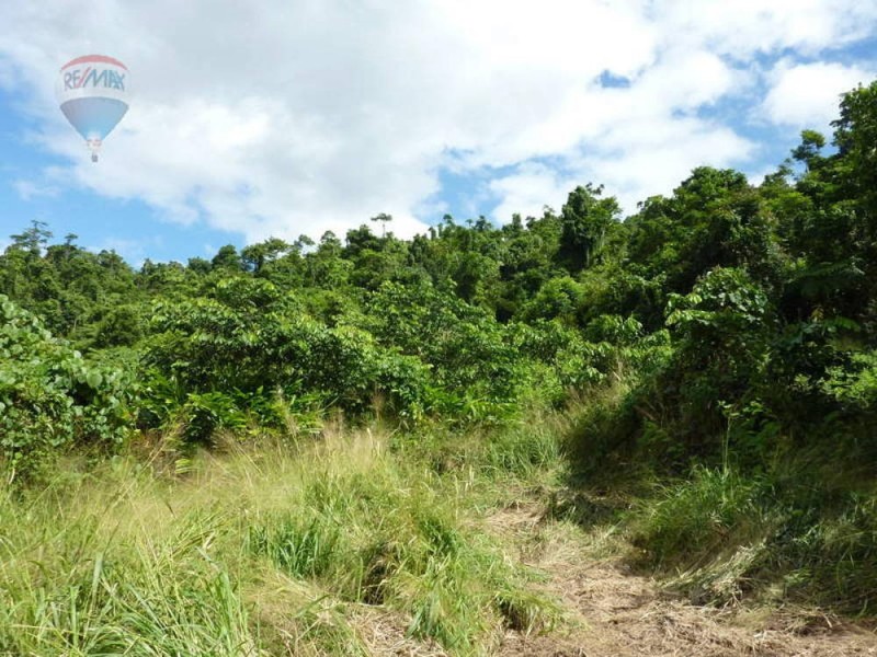 Lot 59 Nelson Road, Babinda QLD 4861