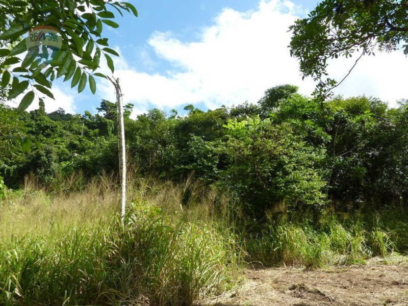 Lot 59 Nelson Road, Babinda QLD 4861
