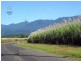 163 Newell Road, Newell QLD 4873