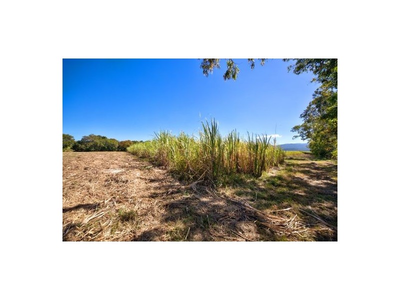 649 Pine Creek Road, Gordonvale QLD 4865