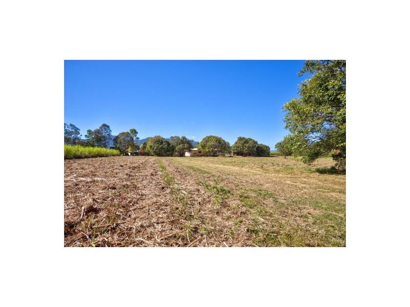 649 Pine Creek Road, Gordonvale QLD 4865