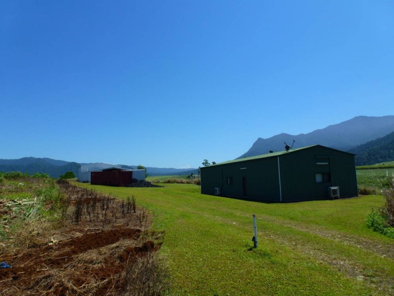 4 Menzies Road, Bartle Frere QLD 4861