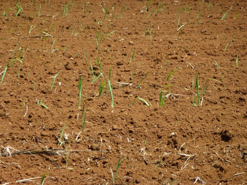 4 Menzies Road, Bartle Frere QLD 4861