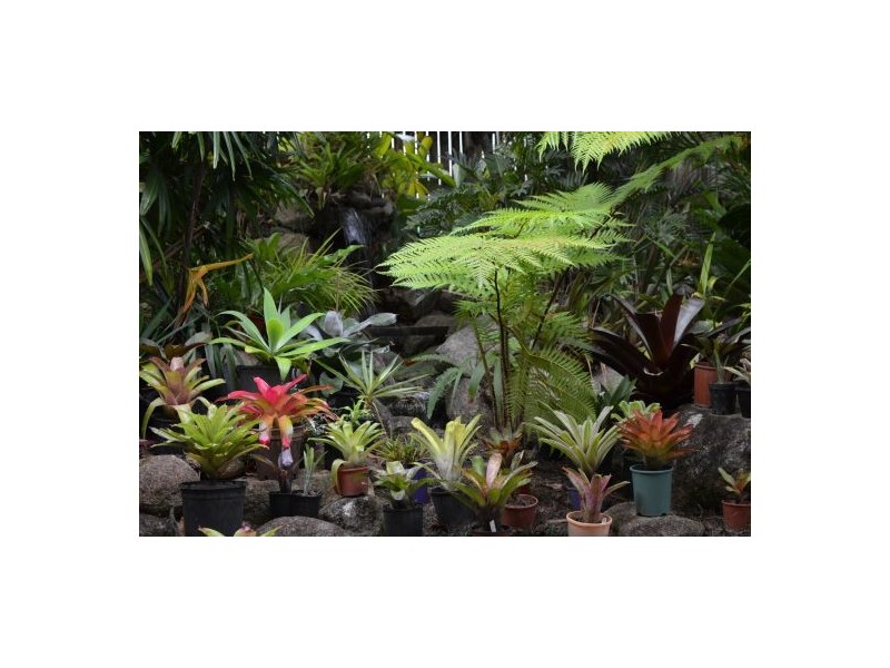 32 Altona Street, Bentley Park QLD 4869