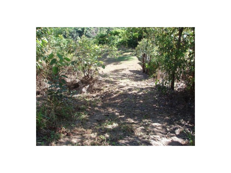 1 Gayundah Close, Earlville QLD 4870