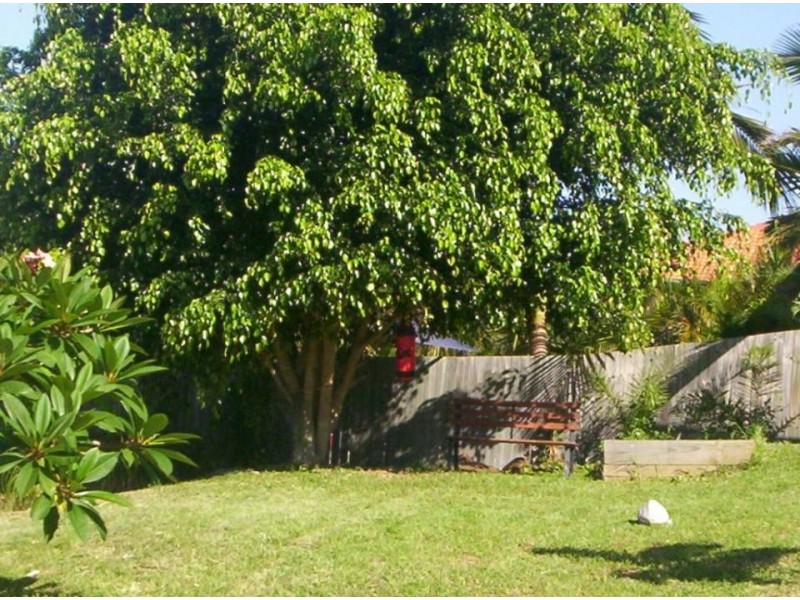 Banora Point NSW 2486