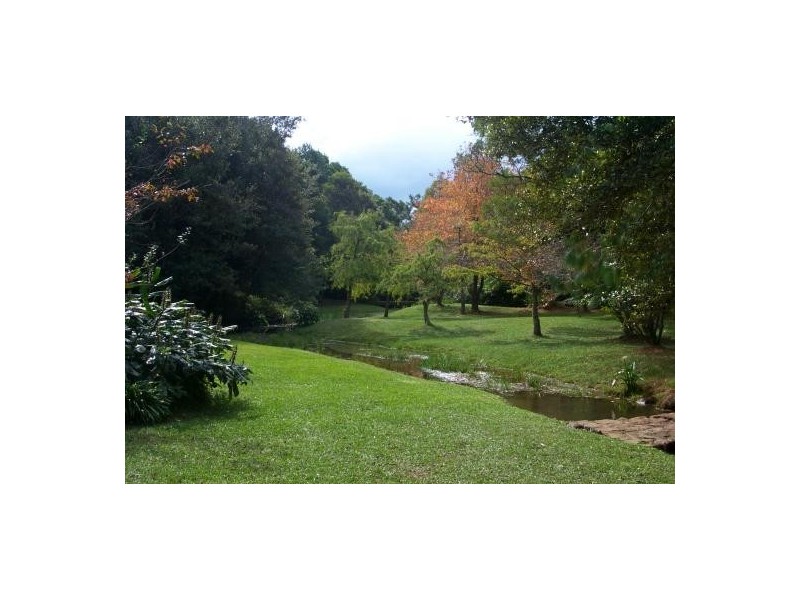 Springbrook QLD 4213