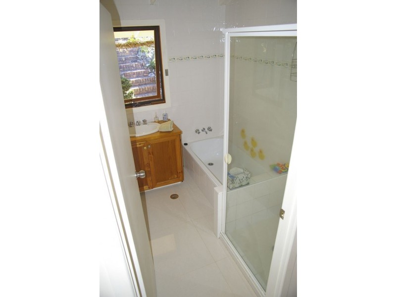 Springbrook QLD 4213