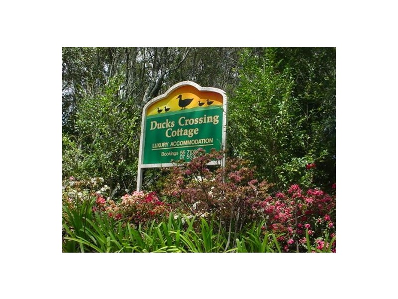 Springbrook QLD 4213