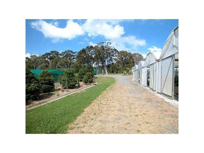 Springbrook QLD 4213