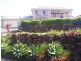 Banora Point NSW 2486