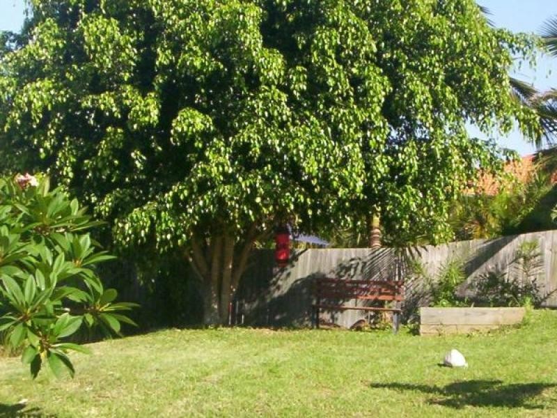Banora Point NSW 2486
