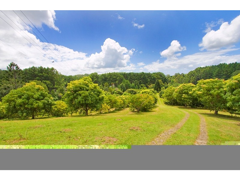 Palmvale NSW 2484