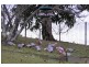 Murwillumbah NSW 2484