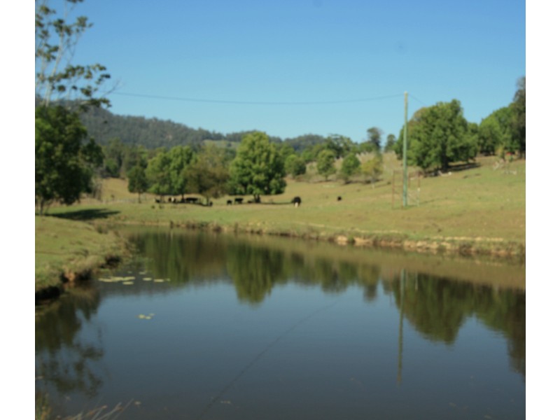 Crystal Creek NSW 2484